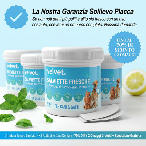 Velvet™ | FreshSmile
