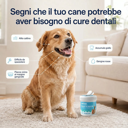 Velvet™ | FreshSmile